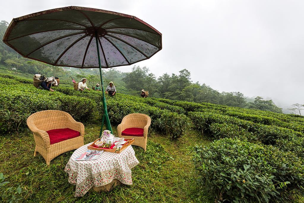Ging Tea House Guest House Darjeeling  Luaran gambar